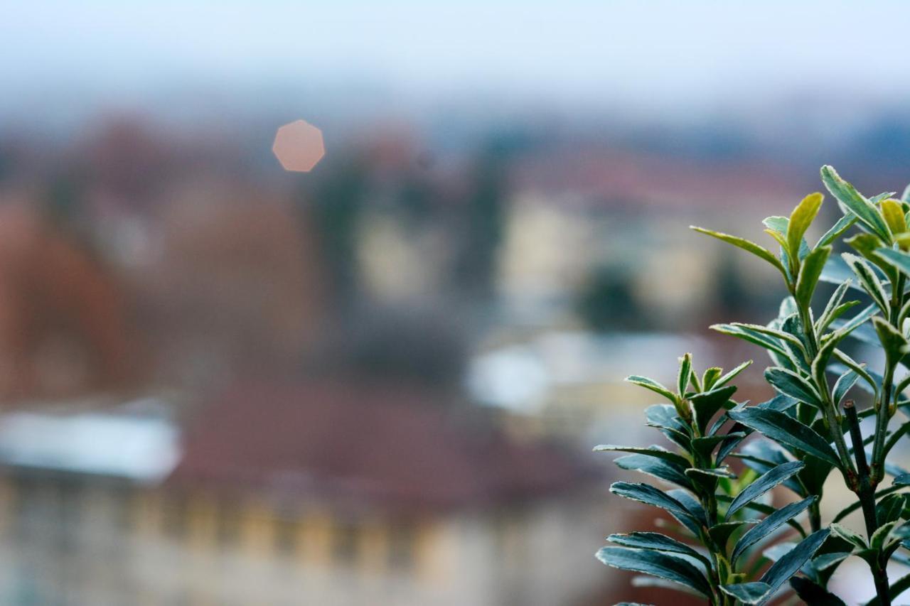 Sunny Side I Turin Suite Екстериор снимка